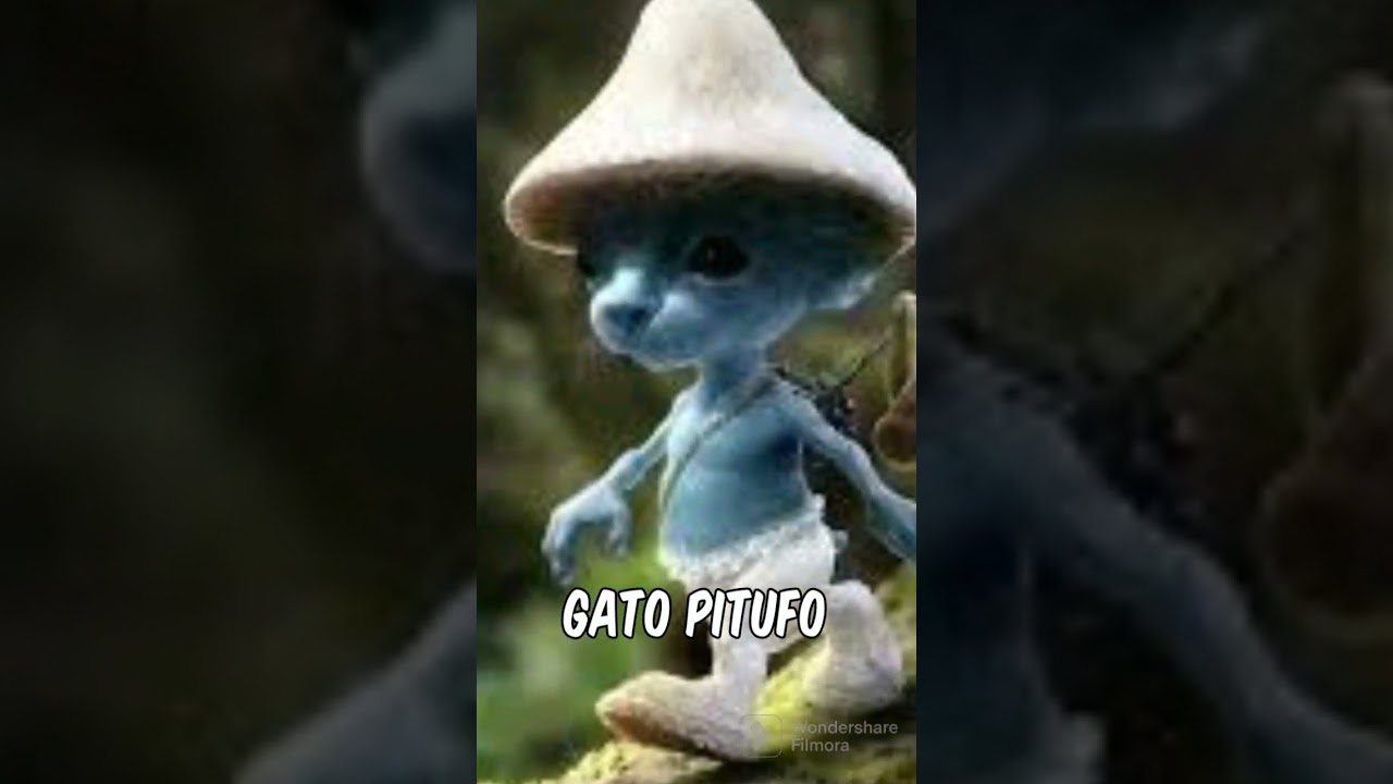 Gato aventureiro 😂 #engraçado #rato #fypシ #humor #viral