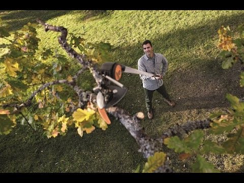 Video: Elektrikli Budama Makası: Ağaçları Budamak Için Uzun Saplı Bahçe Zinciri Makası Nasıl Seçilir? Bosch Modellerinin özellikleri