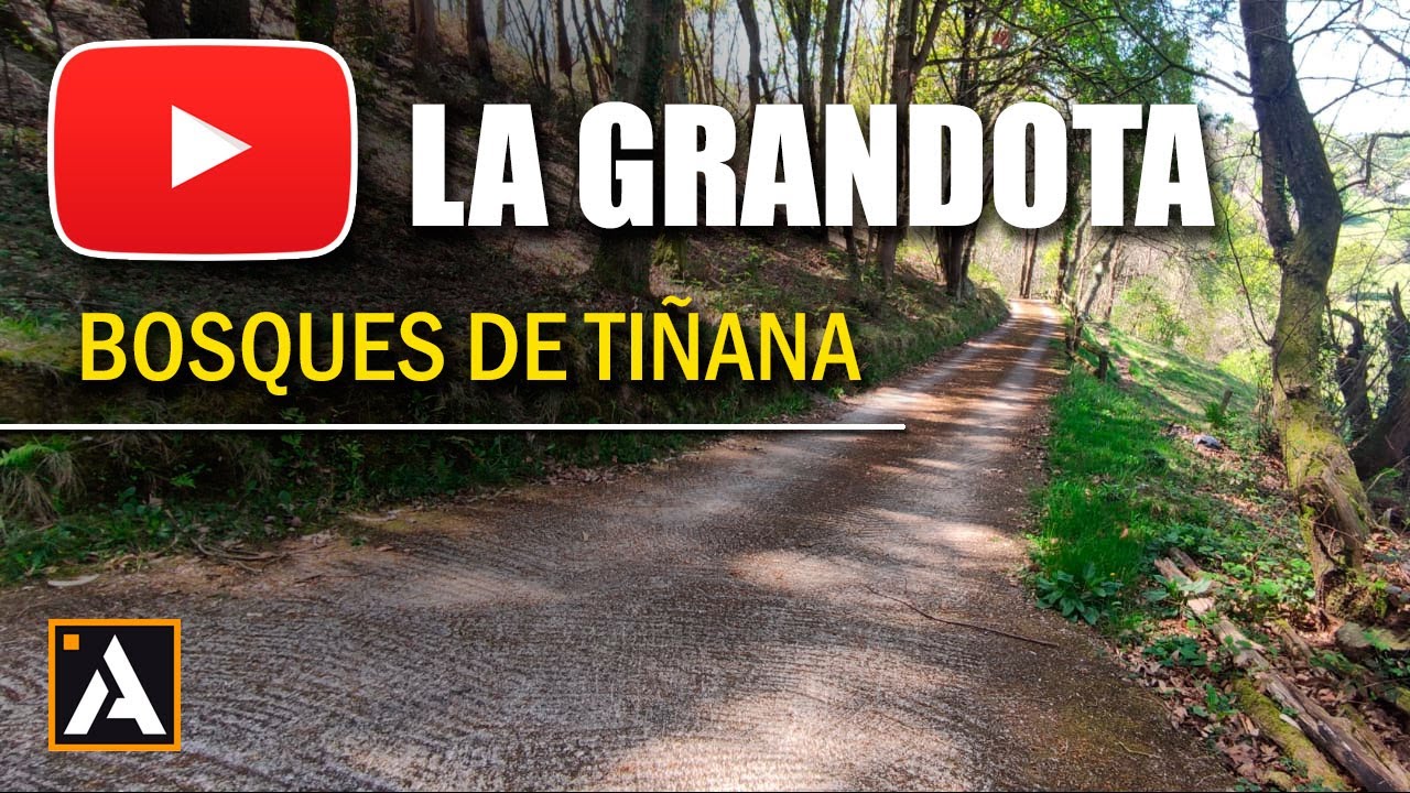 ✅ La GRANDOTA y bosques de TIÑANA (BTT Asturias)