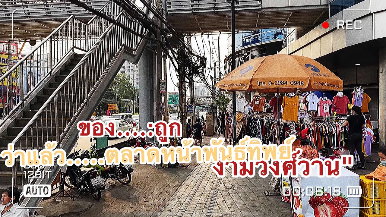 4K ตลาดหน้าห้างพันธุ์ทิพย์งามวงศ์วาน Phanthip Ngamwongwan Market🇹🇭