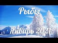 ♓РЫБЫ🎄🌟 Январь 2021/Таро-прогноз/Таро-Гороскоп Рыбы/Taro_Horoscope Pisces January Winter 2021.