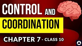 CONTROL AND COORDINATION - Chapter 7 - Audiobook | NCERT Chapter Reading - CBSE Class 10 - One-Shot