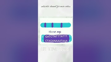 DNA replication in Prokaryotes| Initiation part3 | 13mer & 9mer sequence | csir ugc net life science