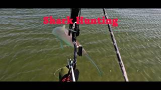 SHARK HUNTING, Bow & Arrow