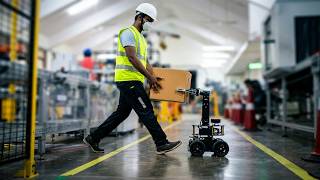 Nature inspired Human-Robot Cooperative Package Delivery
