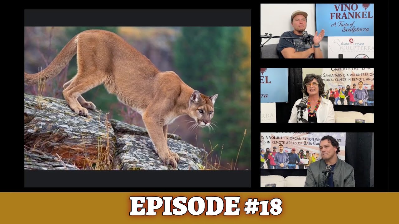 Episode #18 – Brian Takes the Wheel: Mega Focus Vintages, Wine Trends & Photography