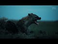 AFRICAN SAVANNA | World's Deadliest Battles for Survival (Full Episode) | Wildlife Documentary