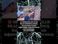 1400 Yıllık Sure Beğen paylaş abone ol #allah #sevgi #iman #islam #hikmetlisözler #dua
