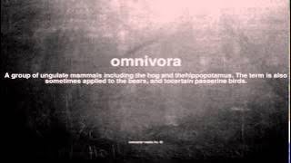What does omnivora mean