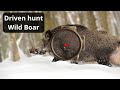 Wild Boar Hunting: Unforgettable Driven Hunt Moments