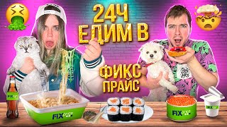 24 Часа ЕДИМ Только в ФИКС ПРАЙС с котом и собакой ЧЕЛЛЕНДЖ