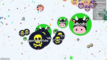 Agar io    INSANE 