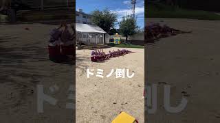 圧巻！大人数でおこなう思わず歓声が上がる組体操の技集
