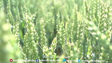 سورة الكهف ( 1 - 8 ) الشيخ محمود خليل القارئ