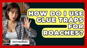 How Do I Use Glue Traps For Roaches? - Insects and Invaders