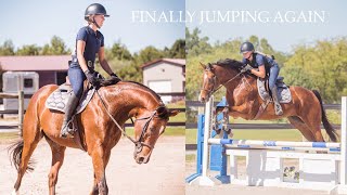 JUMPING MY HORSES AGAIN! (BARN VLOG)