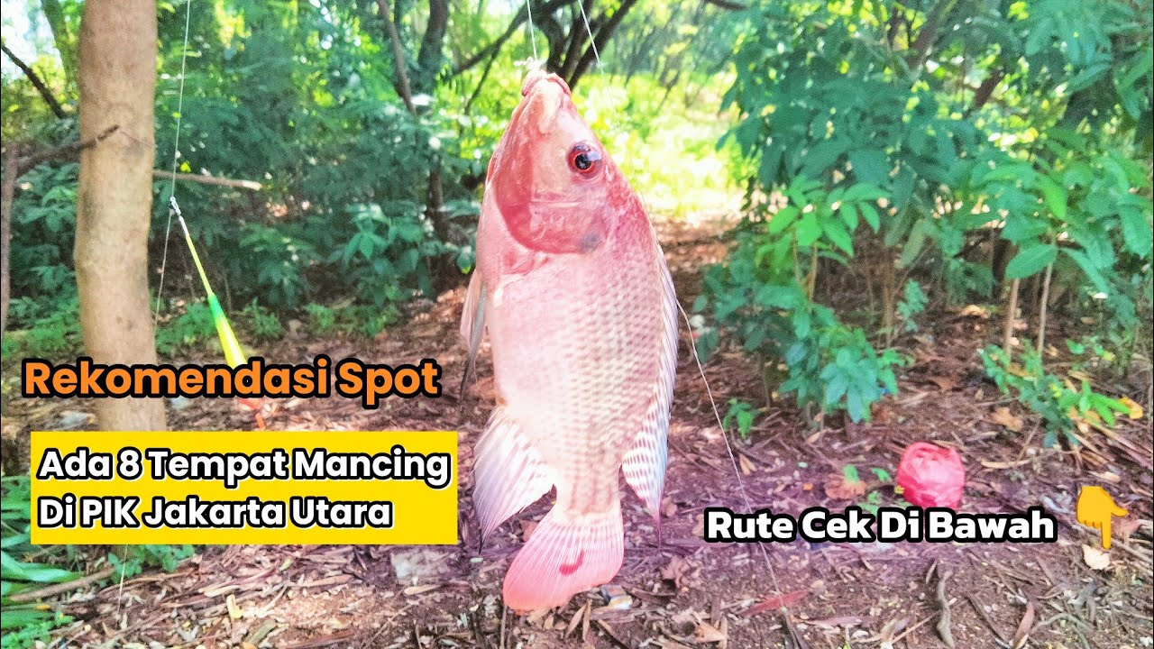 Info 8 Tempat Mancing Liar Di Jakarta