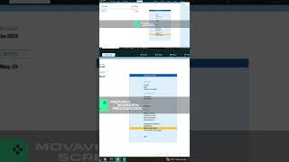 how to send bulk email from tally #tallyprime #tallyprimefullcourse #tallycustomization #automation