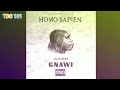 Gnawi Homo Sapien