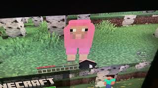 Pink sheep found in 50 secs record screenshot 4