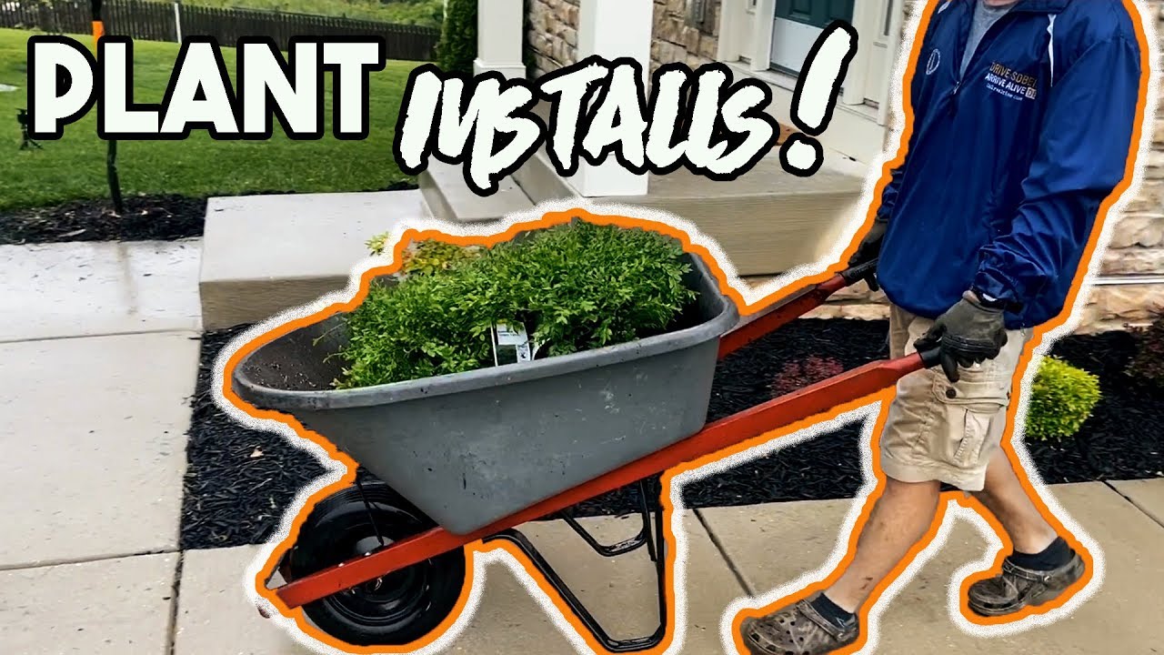 How to STAY BUSY with LANDSCAPE JOBS Spring Aerations, Plant and Flower