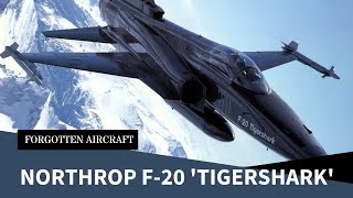 The F-5G F-20 Tigershark Northrops Bane