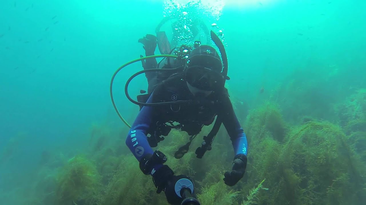 Scuba Diving Catalina Dive Park 2015 YouTube