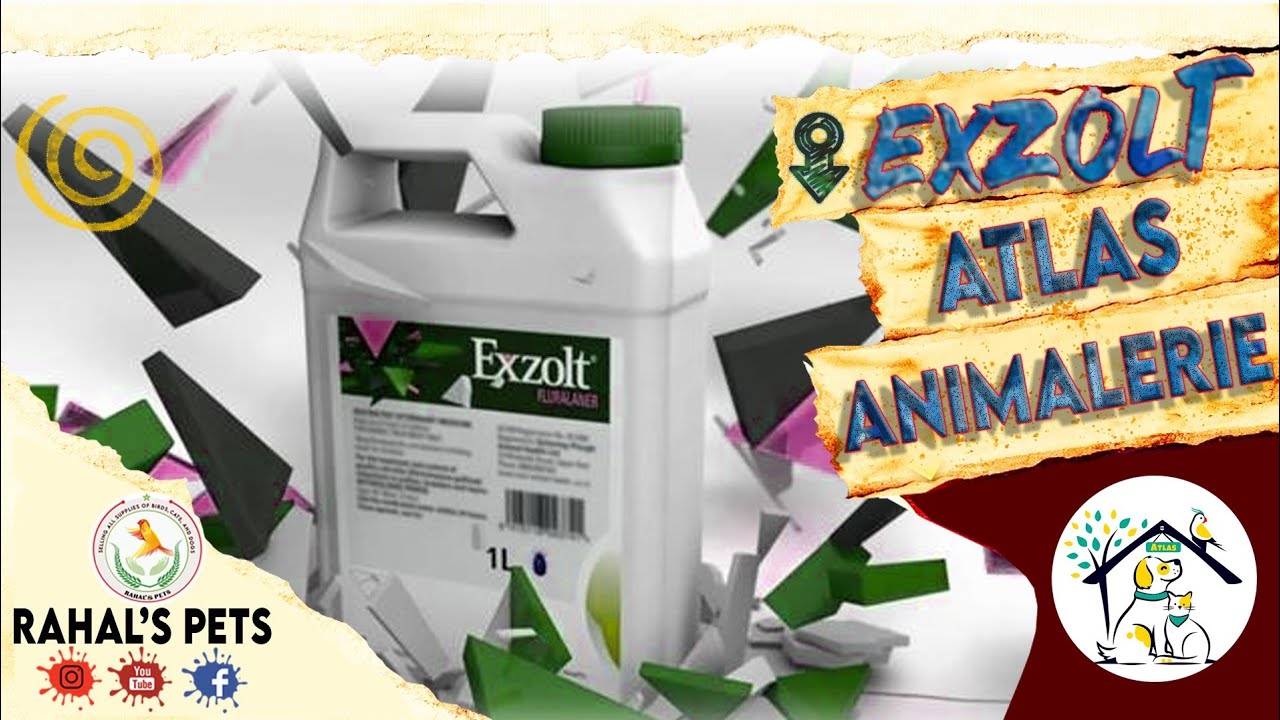 Atlas Animalerie شرح دواء Exzolt بالتفصيل