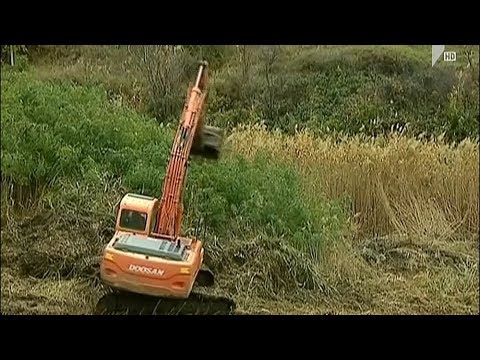 პროექტის პრეზენტაცია