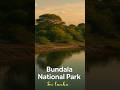 Bundala National Park Travel Srilanka Nature