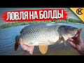 Рыбалка с ночёвкой на болды (ЛЕЩ, САЗАН)