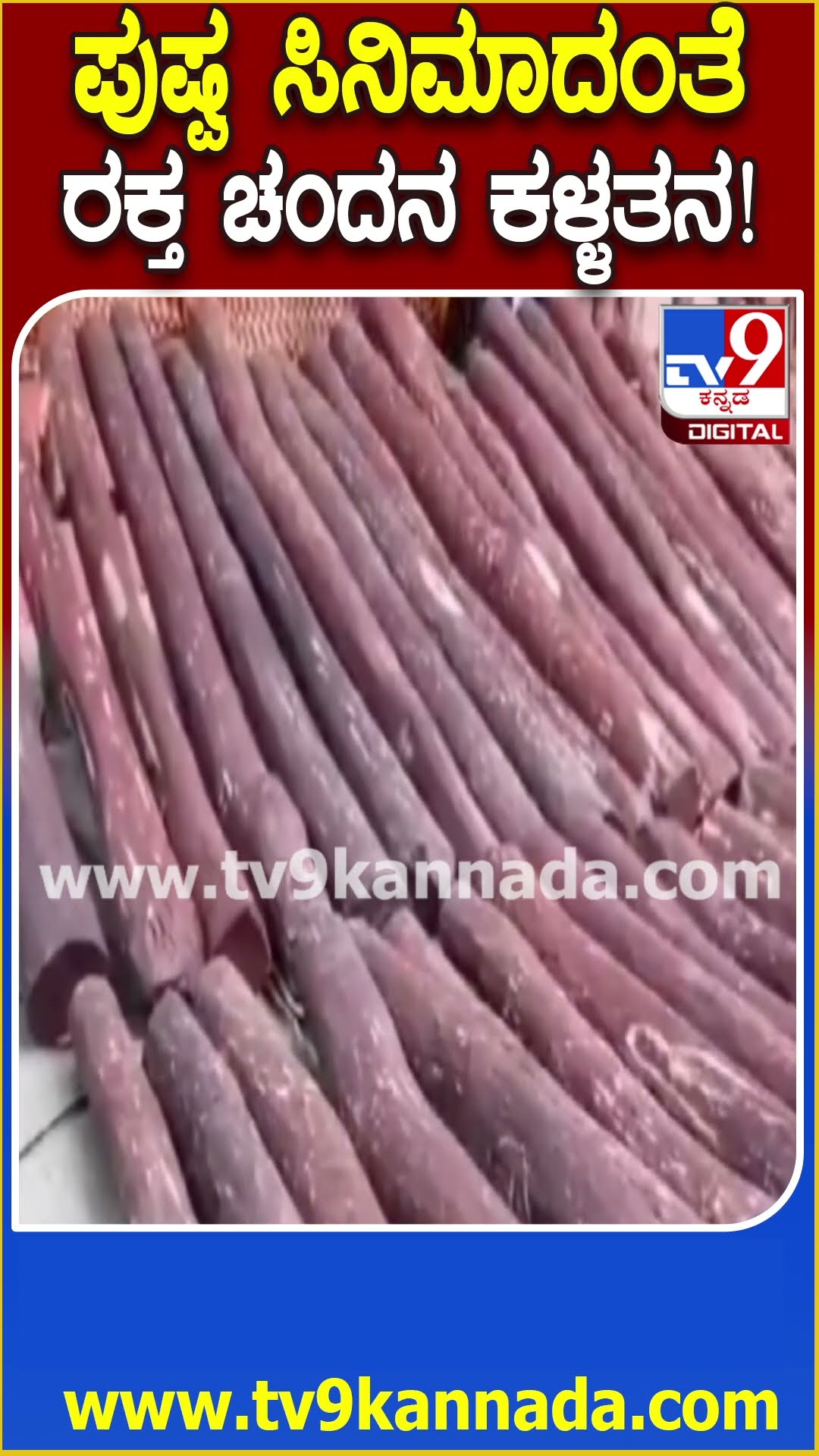 Red Sandal smuggling: ಪುಷ್ಪ ಸಿನಿಮಾ ಸ್ಟೈಲ್​ನಲ್ಲಿ ರಕ್ತ ಚಂದನ ಸ್ಮಗ್ಲಿಂಗ್, ಬೇಟೆಯಾಡಿದ ಪೊಲೀಸರು  | #TV9D