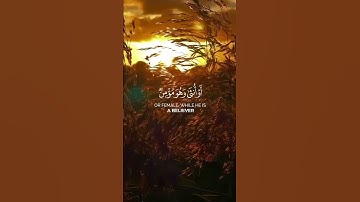 من عمل سيئة فلا يجزى إلا مثلها  🌱⚖️❤️‍🩹🔊 القارىء #ياسر_الدوسري #quran #تلاوات #تلاوة_خاشعة