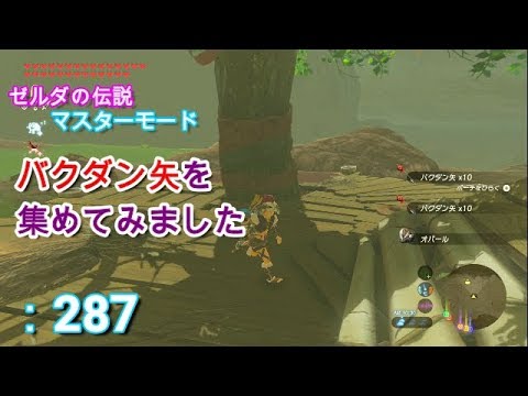 ゼルダの伝説 バクダン矢を集めました ゼルダの伝説 ブレスオブザワイルド Youtube