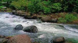Relaxing Nature Sounds, Calming River Sounds for Stress Relief