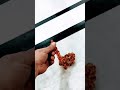 طريقة لمعرفة الكهرمان الاصلي وغير اصلي