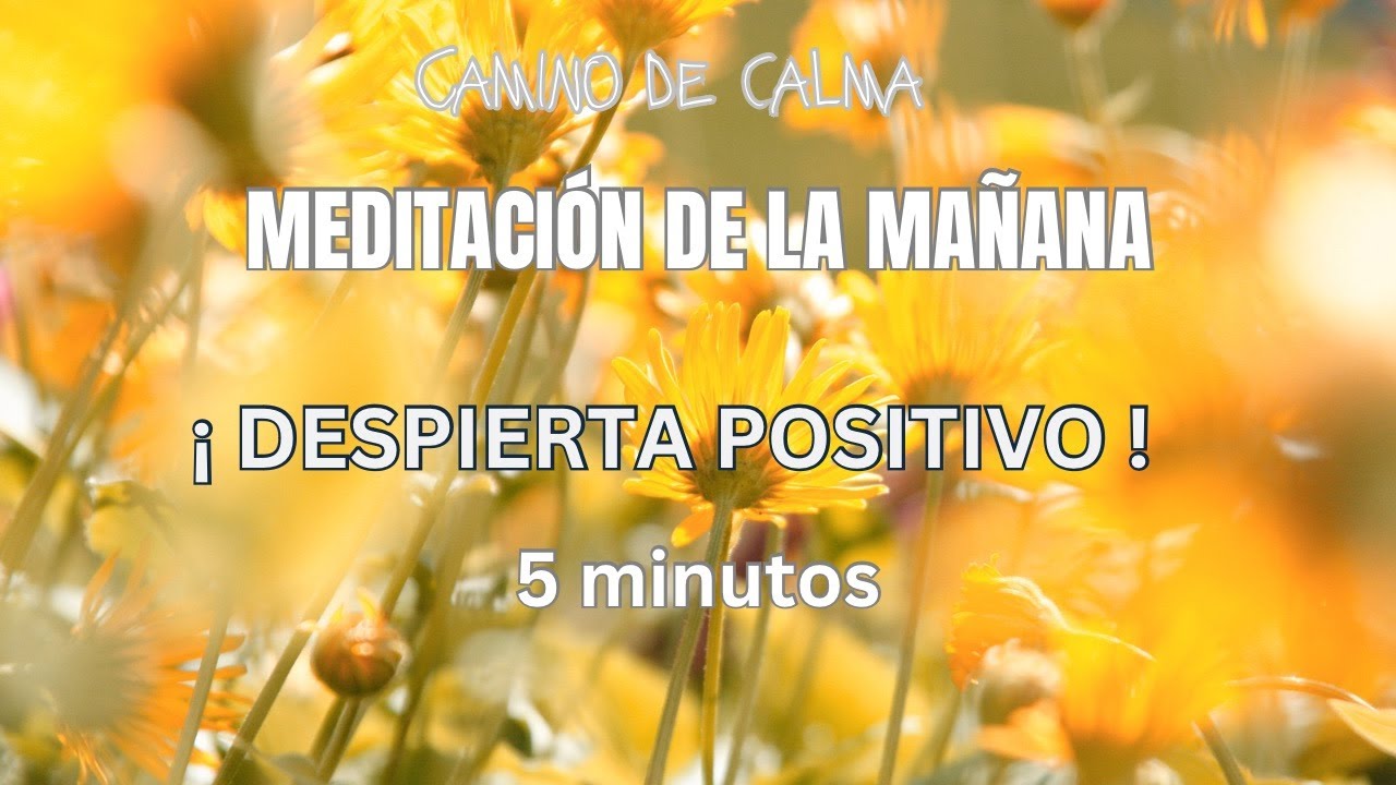 5 minutos de MEDITACIÓN para la mañana 🔆EMPEZAR EL DÍA POSITIVO !🧘🏼🔆 ...