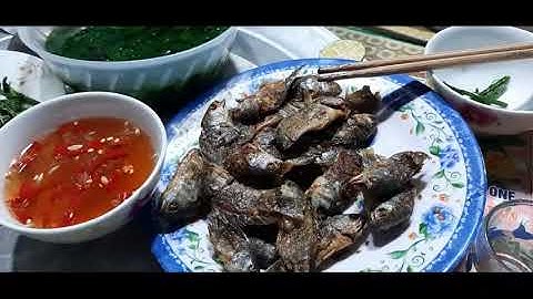 Đi bắt cá rô đồng về chiên giòn. Ngon tuyệt vời. Biển Nguyễn ngọc HN