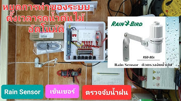 Rain Sensor เซ็นเซอร์ตรวจจับน้ำฝน เพื่อหยุดการทำของระบบตั้งเวลารดน้ำต้นไม้อัตโนมัติ
