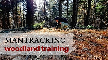 MANTRACKING: HOW TO SEE TRACKS ON PINE NEEDLES!