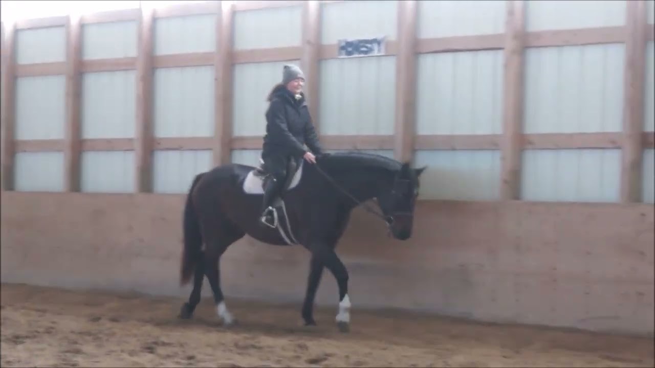 Dolce Vita K - under saddle