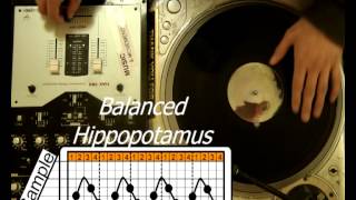 DJ chile - Cross Rhythm Study - Balanced Hippopotamus