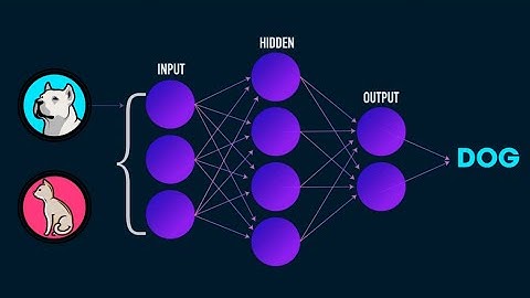 Cats vs Dogs DL demo