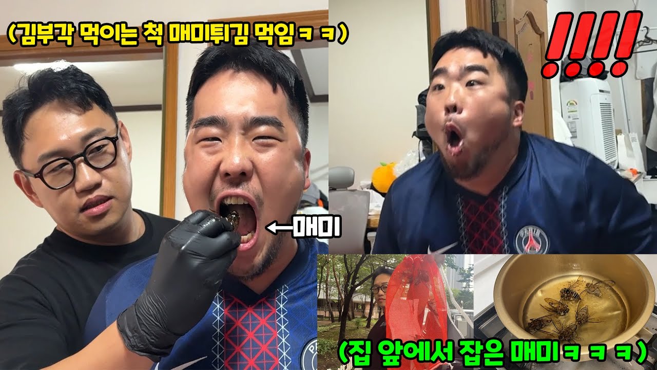 김부각 먹이는 척 매미 먹이기ㅋㅋㅋ