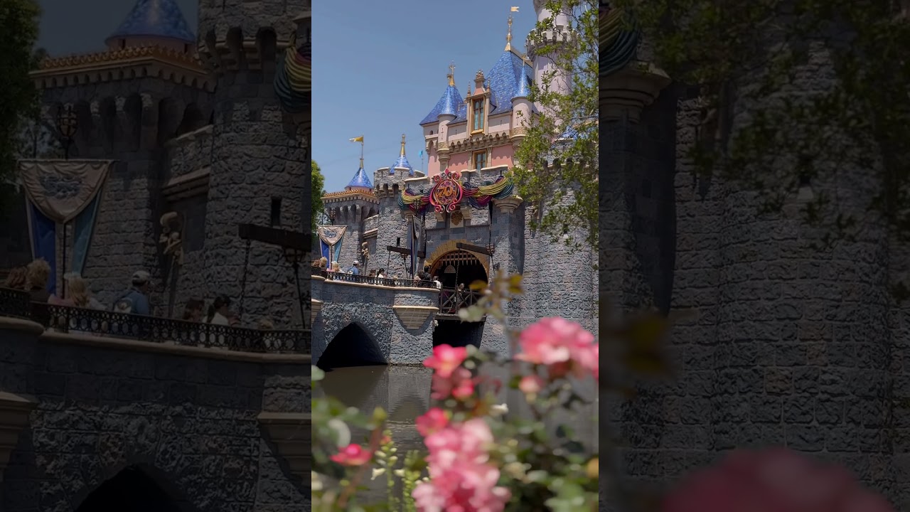 A beautiful moment at Disneyland!