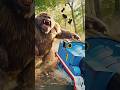 Thomas Outruns Massive Bigfoot Beast on the Tracks