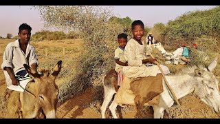 De Shendi à Sabaloga (Soudan)