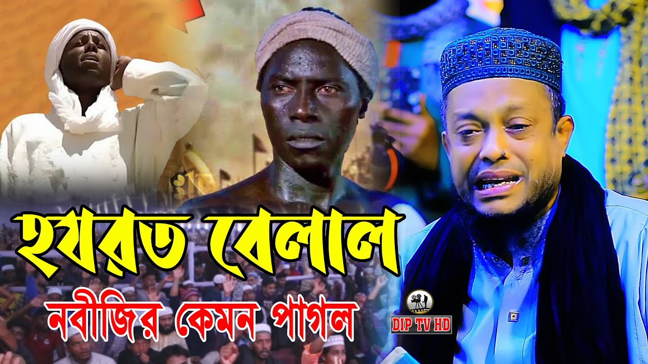 হযরত বেলাল নবীজির কেমন পাগল  || ওয়ালি উল্ল্যাহ আশেকী || নতুন ওয়াজ ||DIP TV HD 2025