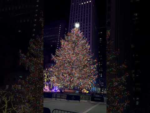 Video: Najboljša božična drevesca v NYC