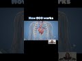 How ECG works!!!